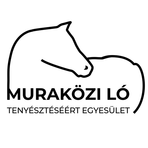 305446714 604024557845798 5205966164039368698 n