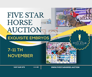 5star 2025 11 másolata