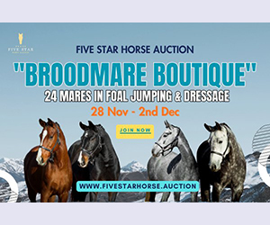 5*star 2025 november broodmare másolata