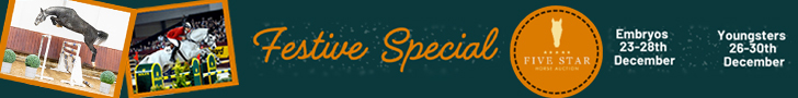 5star dec 2