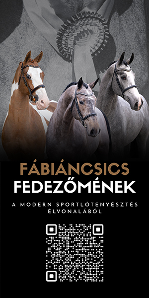 FH mének 2026 másolata