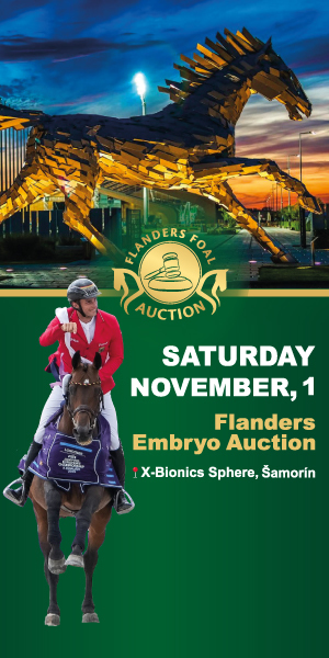 Flanders 20251101 másolata