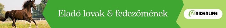 RL eladó lovak másolata