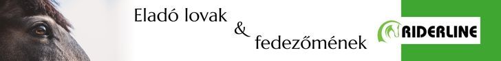 RL eladó lovak 2 másolata