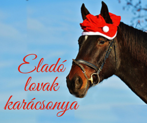 Eladó lovak karácsonya