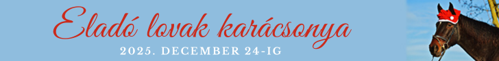 Eladó lovak karácsonya másolata