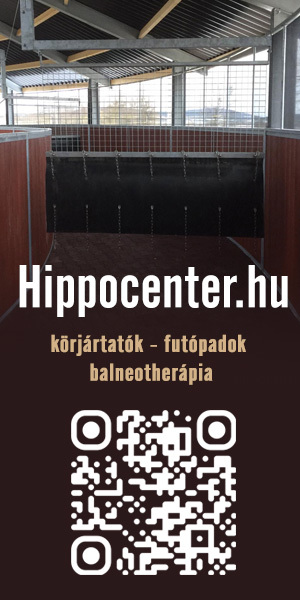 Hippocenter