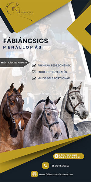 FH 2025 másolata