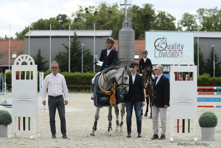 115 cm Quality Lovasbolt 5 ves lovak Nagyd ja Szil gyi L szl s V Gevrey Coeur Dor TLSZ
