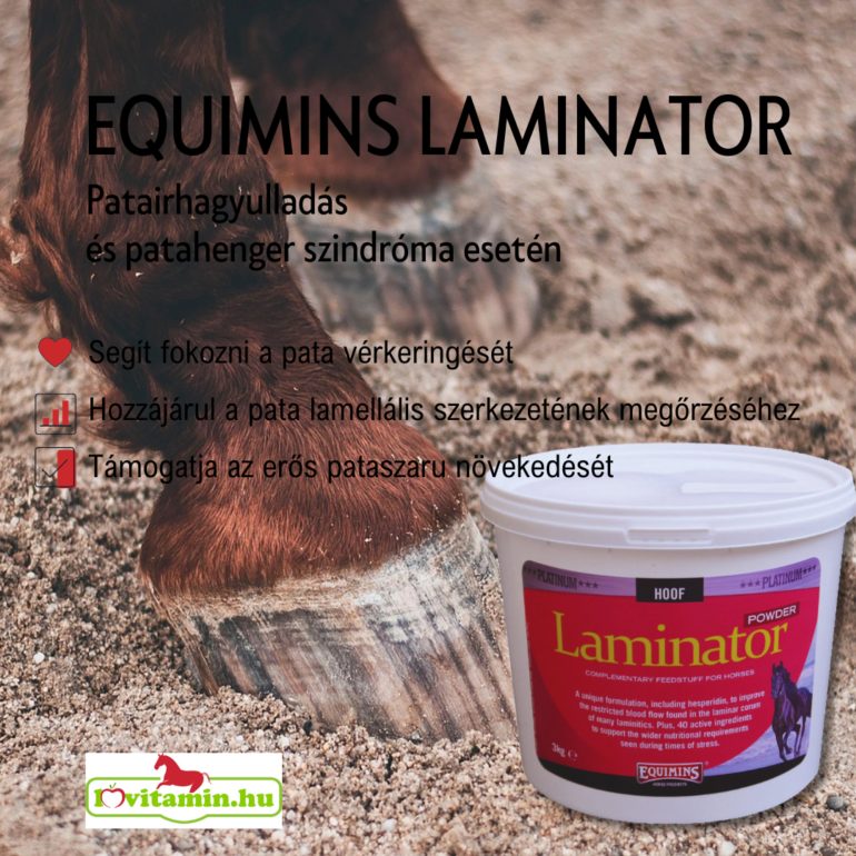 Laminator