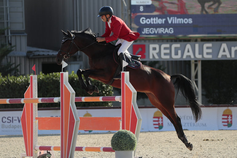 130 cm Felnőtt Döntő Göttler Vilmos Jégvirág