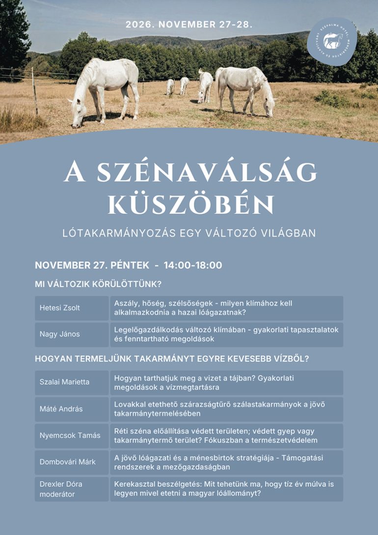 Szepalma szena program1