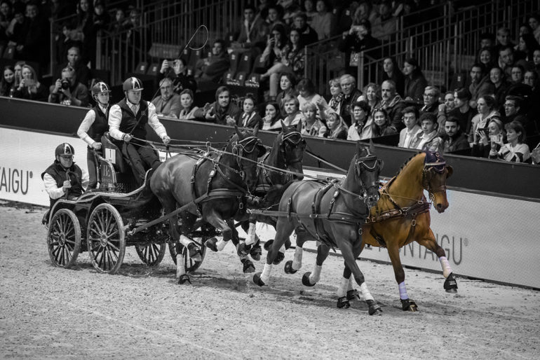 B Exell 2025 Bordeaux 4