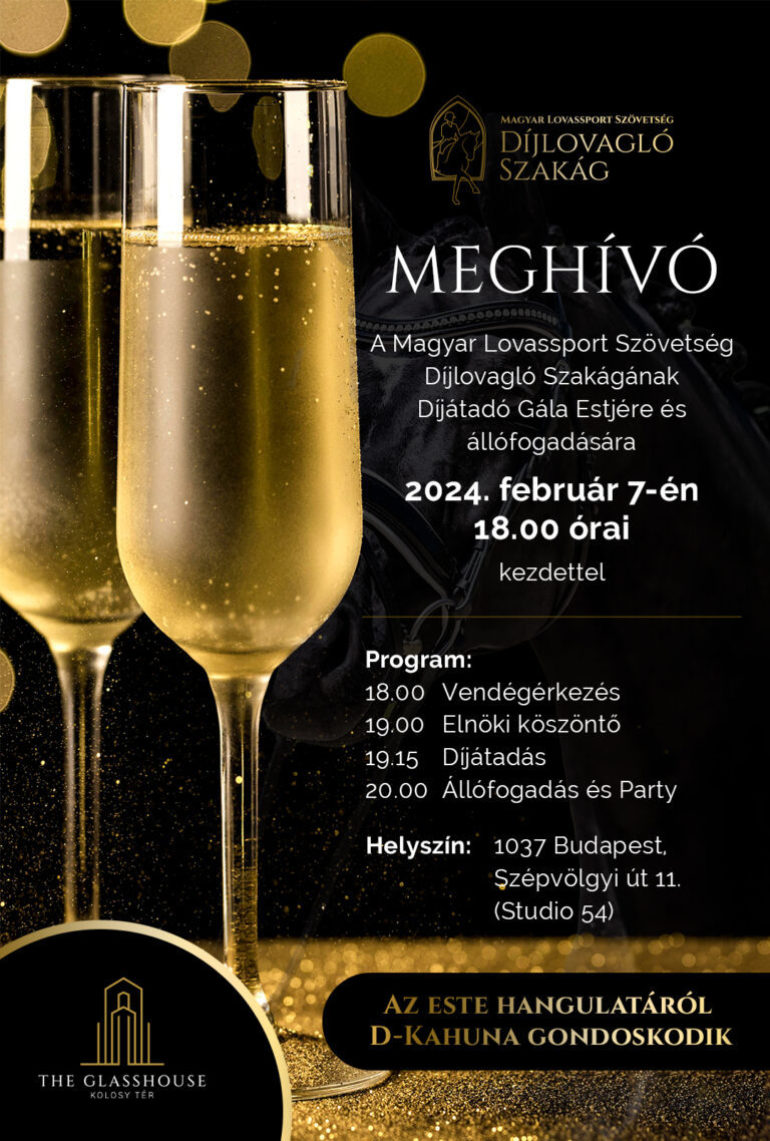 V1 250113 DLSZ Social media Gala meghivo 1080x1600px 768x1138