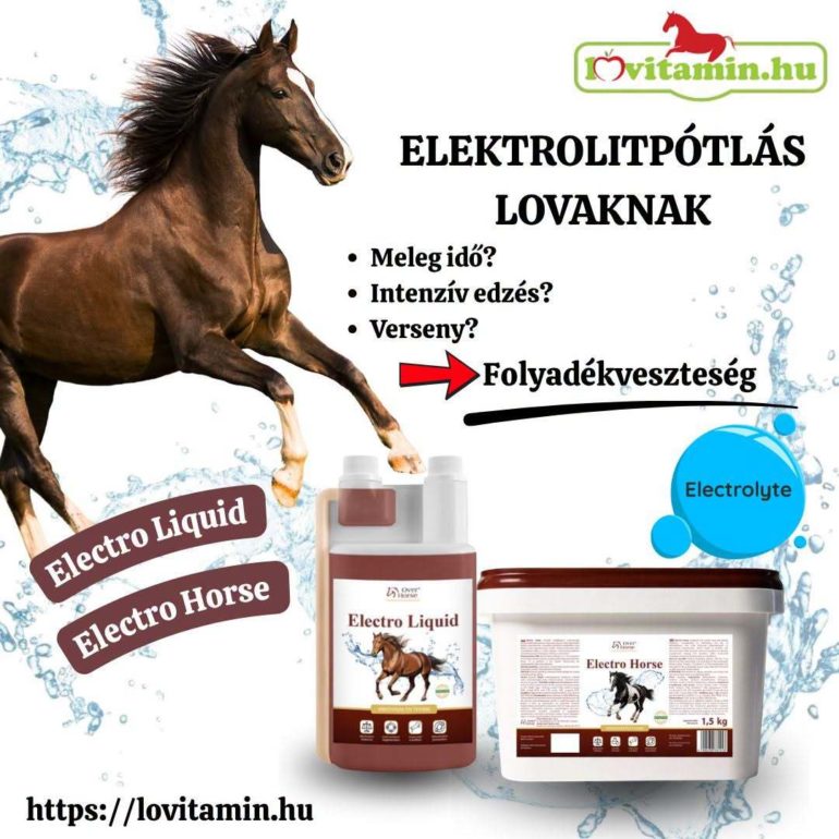 Elektrolit