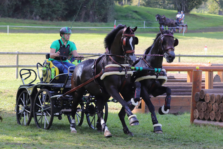 Hölle martin 2 1200