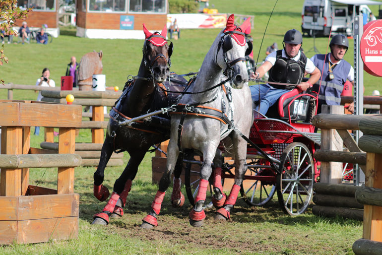 Kákonyi norbert 1200