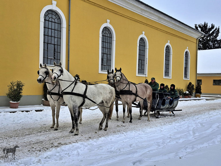 Lovasszan babolna 2026 1