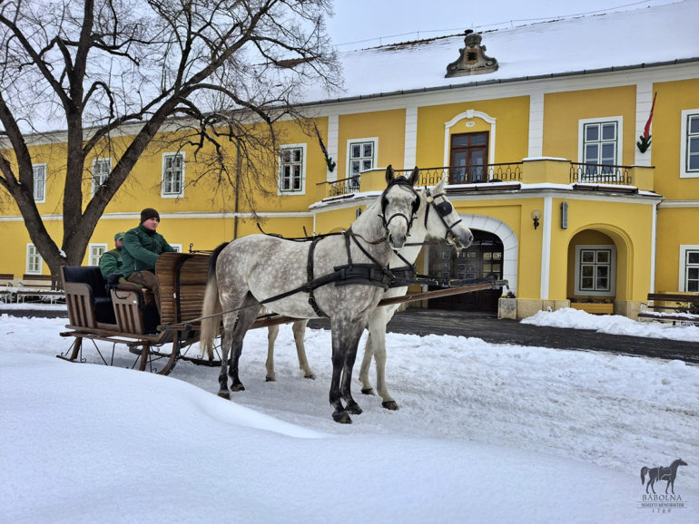 Lovasszan babolna 2026 3