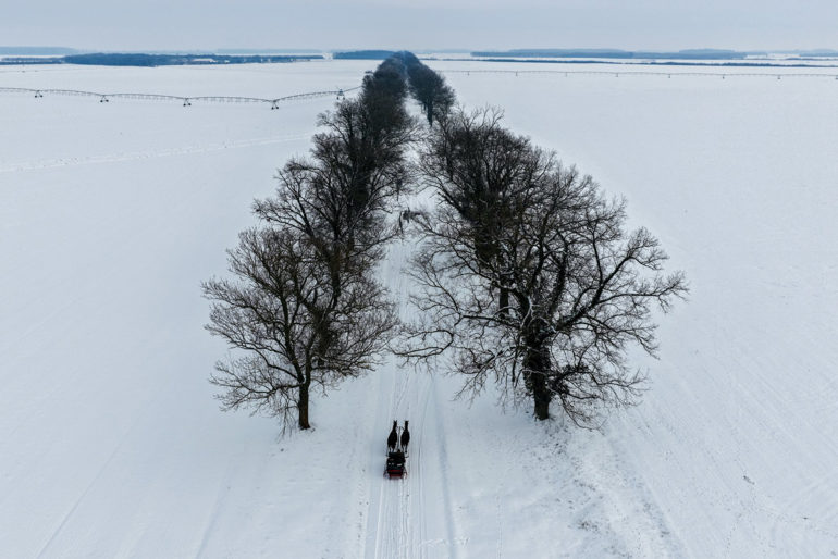 Lovasszan mehohegyes 2026 1