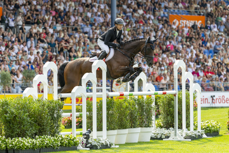 Michaeljung 1