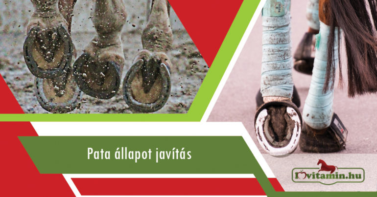Pata allapot javitas og