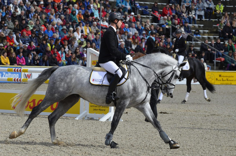 Sportlo melegitopalya