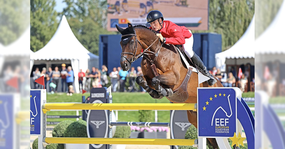 EEF illusztracio 1200 másolat