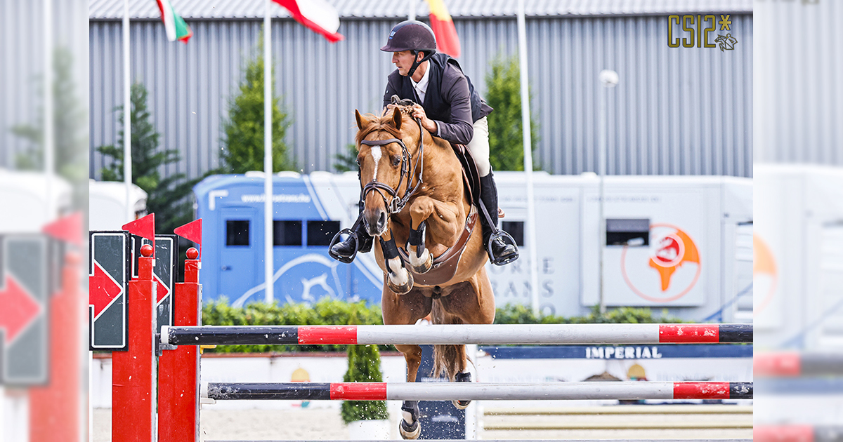 K Henri Tamb 1200
