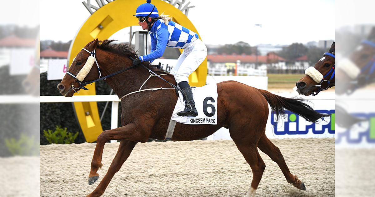 Sutak Cs og másolat