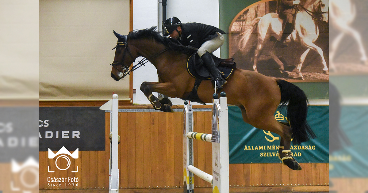 Tecsy A Szvarad202511 og