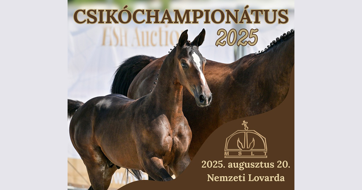 Csikóchampi2025 og