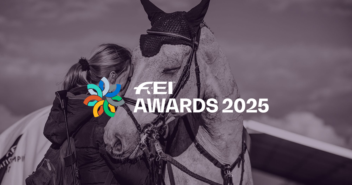 Feiawards2025 og