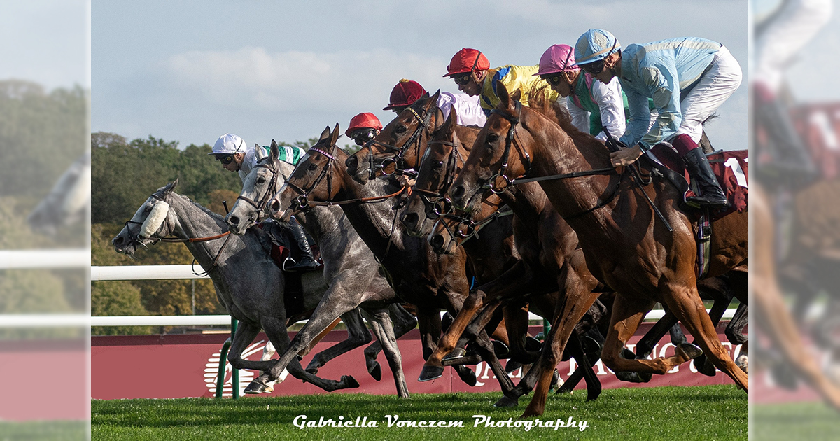 Galopp illusztracio og