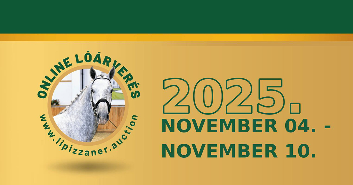 Lipparveres2025 og 3