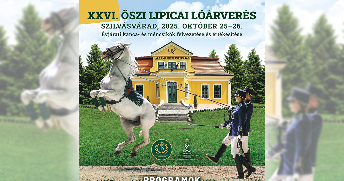 Lipparveres2025 og