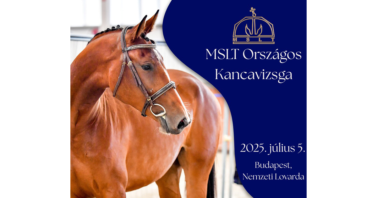 Mslt kancavizsga2025 og