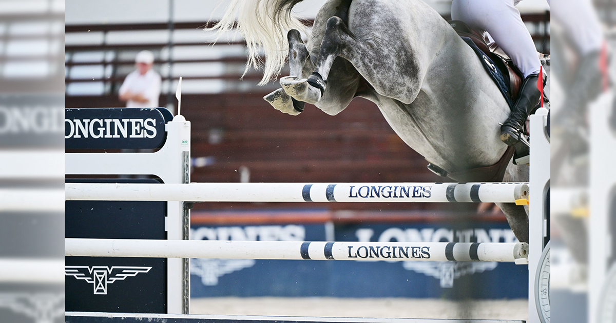 Ugro longines illusztracio og