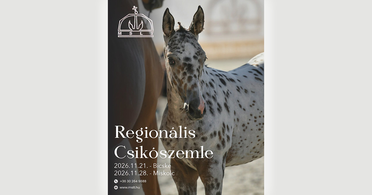 MSLT Reg Csiko og