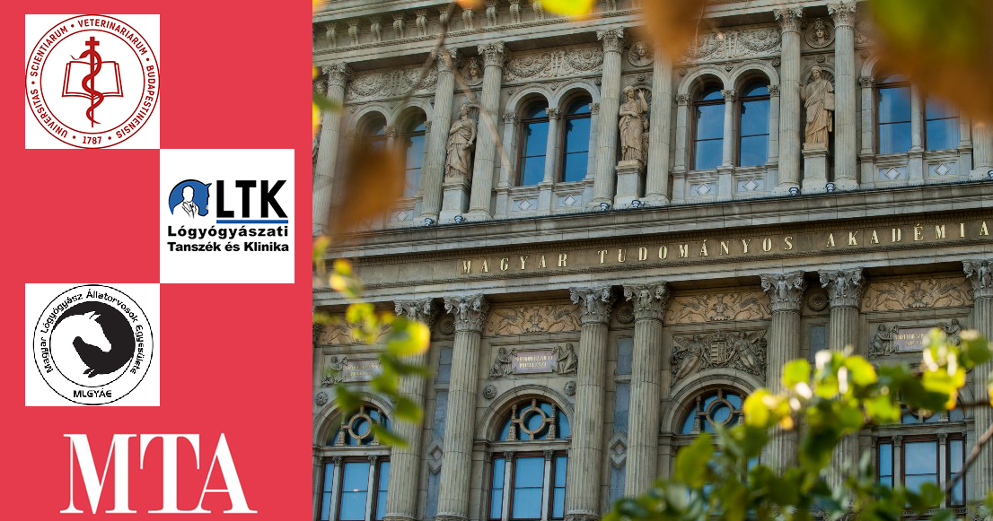 MTA MLGYAE og