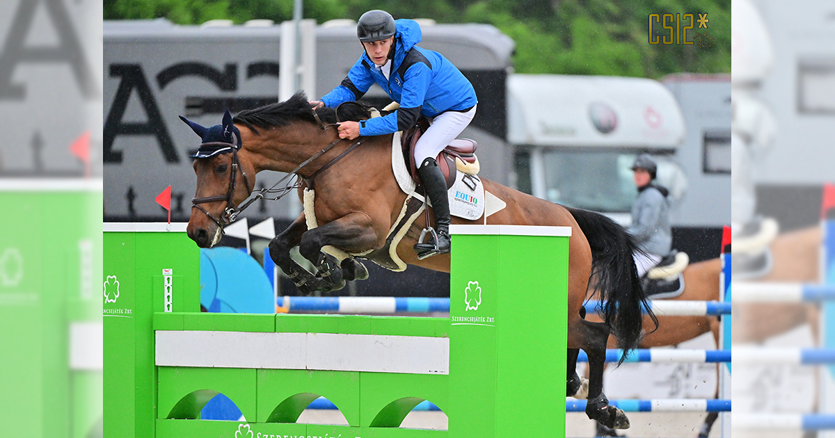 Szuhai P Corbluecenta og