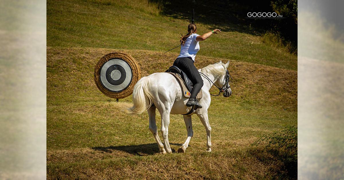 Csiszerivett jo 1200