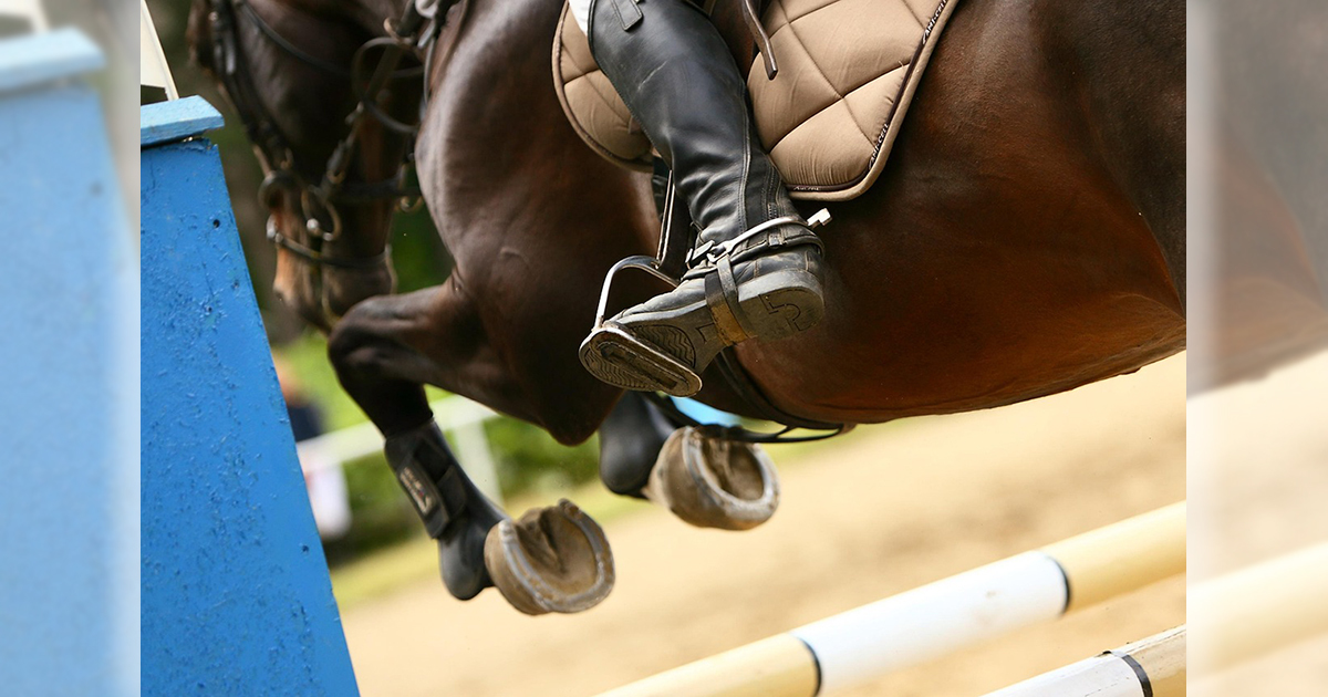 Dijugratas illusztracio 1200