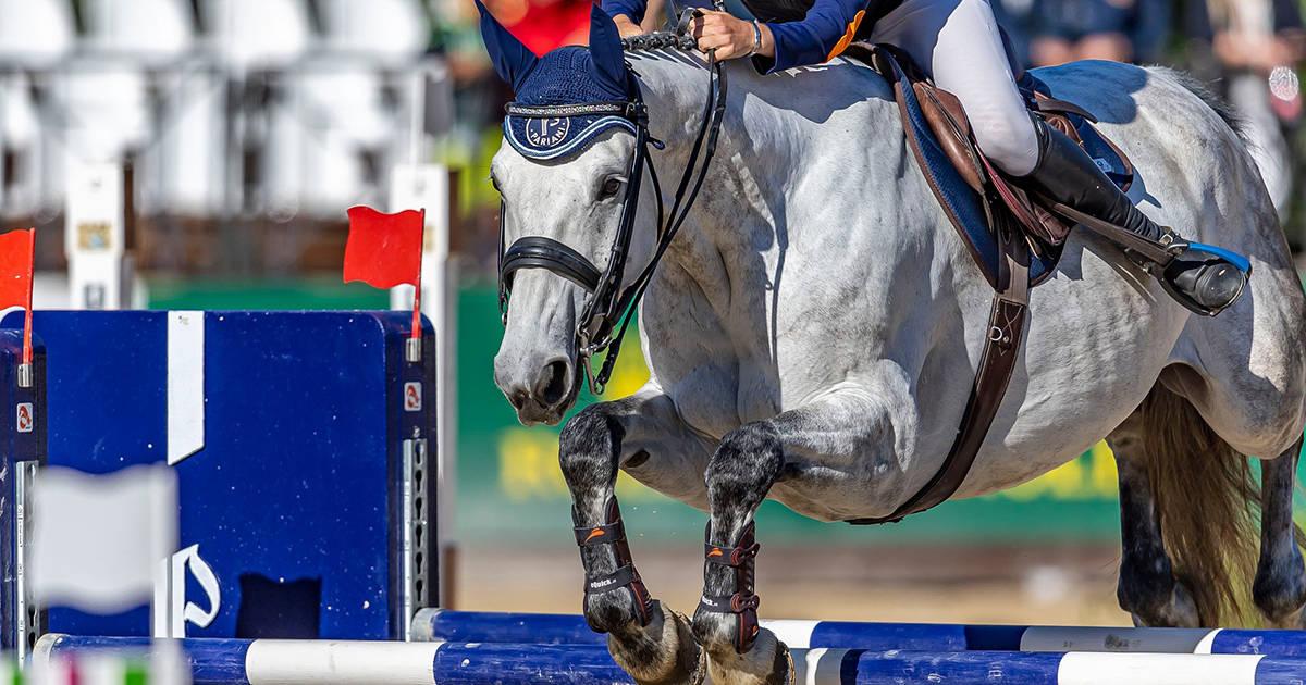 Dijugratas illusztracio 26 1200