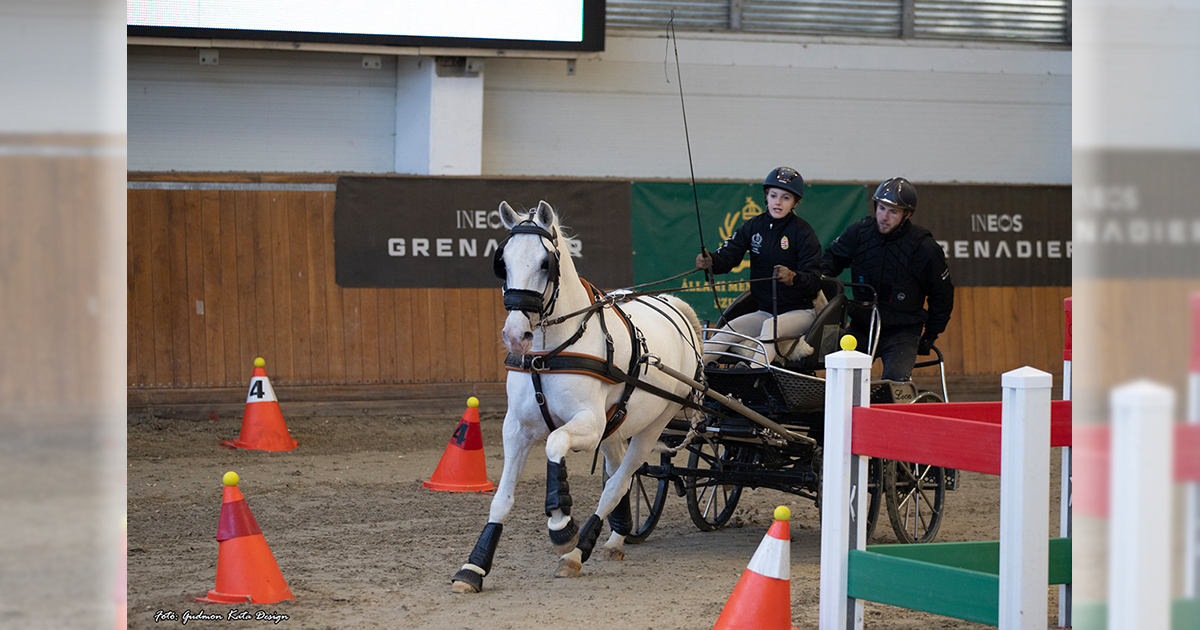 Fogat fedeles donto 2026 og