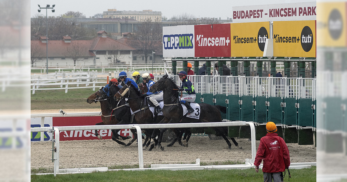 Galopp kapunyito 2026 og