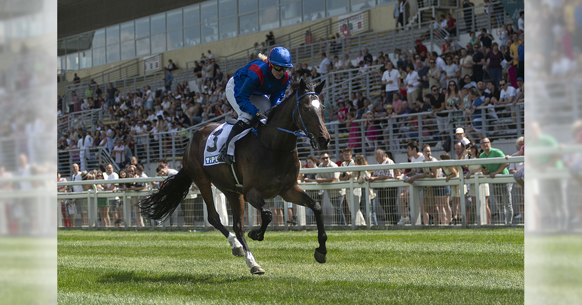 Galopp lelato og
