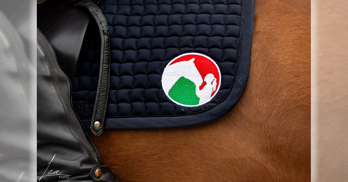 Lausz illusztracio 1200