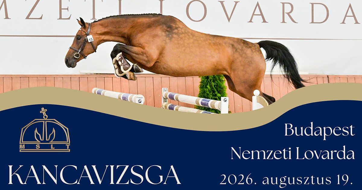 Mslt kancavizsga 2026