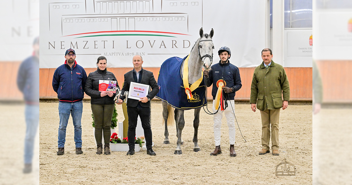 Mslt menvizsga2026 1200